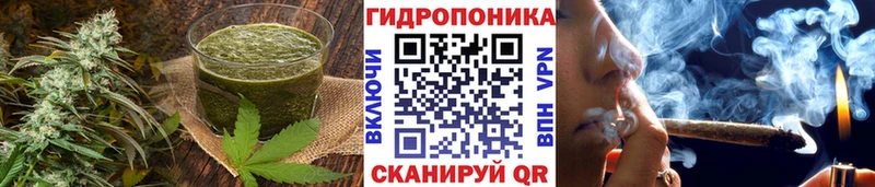 Cannafood конопля Сертолово