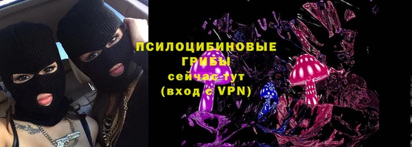 spice Аркадак