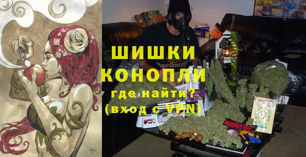 экстази Арсеньев