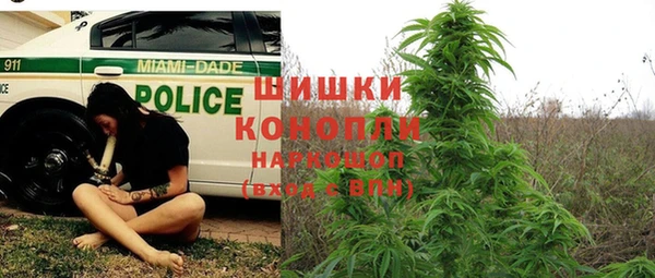 spice Аркадак