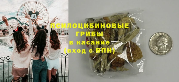 spice Аркадак
