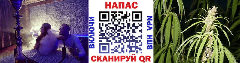 наркота  блэк спрут ссылки  Марихуана тримм  Сертолово 